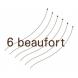 6beaufort asbl 6beaufort asbl