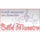 Bébé Maestro - Eveil musical en famille Bébé Maestro - Eveil musical en famille