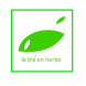 Planning familial le blé en herbe Planning familial le blé en herbe