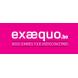 Ex Aequo asbl Ex Aequo asbl