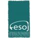 Fédération Employeurs Secteur Organisations de Jeunesse Fédération Employeurs Secteur Organisations de Jeunesse