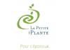 Petite Plante (La) asbl Petite Plante (La) asbl
