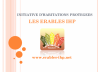 Erables asbl (Les) - I.H.P. Erables asbl (Les) - I.H.P.
