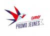 Promo Jeunes AMO asbl Promo Jeunes AMO asbl