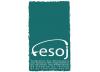 Fédération Employeurs Secteur Organisations de Jeunesse Fédération Employeurs Secteur Organisations de Jeunesse