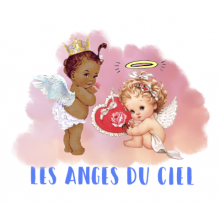 Les Anges du Ciel
