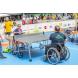 Ligue Handisport Francophone Ligue Handisport Francophone