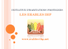 Erables asbl (Les) - I.H.P. Erables asbl (Les) - I.H.P.