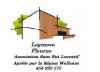 Loginove Loginove
