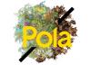Asbl Pola Asbl Pola