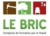 Bric (Le) - Science Service Travail Bric (Le) - Science Service Travail