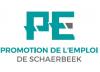 Promotion de L'Emploi Schaerbeek Promotion de L'Emploi Schaerbeek