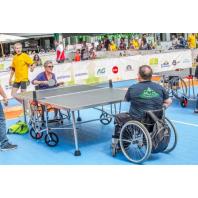 Ligue Handisport Francophone