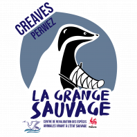 Plumes d'eaux Plumes d'eaux