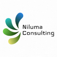 Niluma consulting Niluma consulting