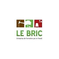 Bric (Le) - Science Service Travail