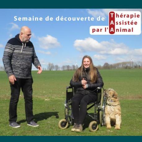 Semaine de découverte de la médiation animale, la zoothérapie
