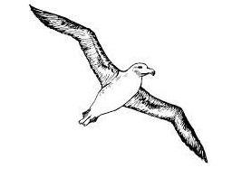 Expérimenter l'Arbre de Vie