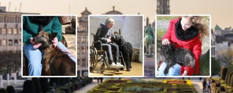 Découverte à Bruxelles, qu'est-ce que la zoothérapie,