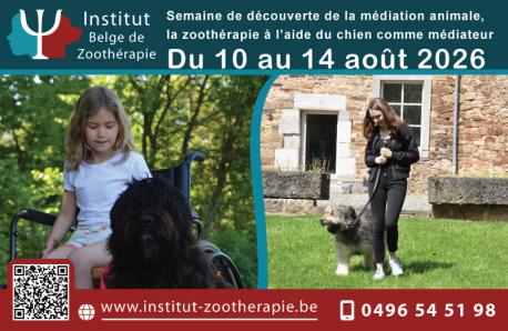 Semaine de découverte de la médiation animale, stage sur la zoothérapie