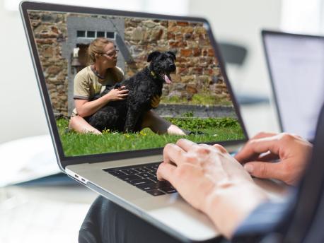 Séance d'informations gratuite sur la médiation animale, la zoothérapie