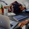 Coaching Professionnel:Burn out/Stress Chronique/Réorientation Professionnelle